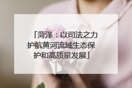 菏泽：以司法之力护航黄河流域生态保护和高质量发展