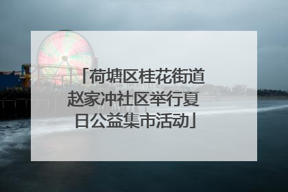 荷塘区桂花街道赵家冲社区举行夏日公益集市活动
