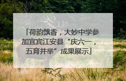 荷韵飘香，大妙中学参加宜宾江安县“庆六一，五育并举”成果展示