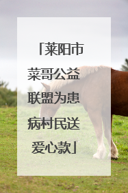 莱阳市菜哥公益联盟为患病村民送爱心款