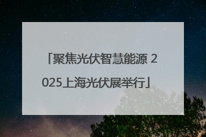 聚焦光伏智慧能源 2025上海光伏展举行