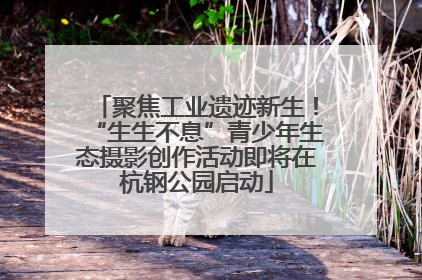 聚焦工业遗迹新生！“生生不息”青少年生态摄影创作活动即将在杭钢公园启动