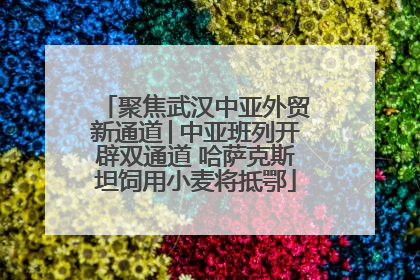 聚焦武汉中亚外贸新通道│中亚班列开辟双通道 哈萨克斯坦饲用小麦将抵鄂