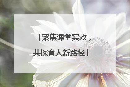 聚焦课堂实效，共探育人新路径