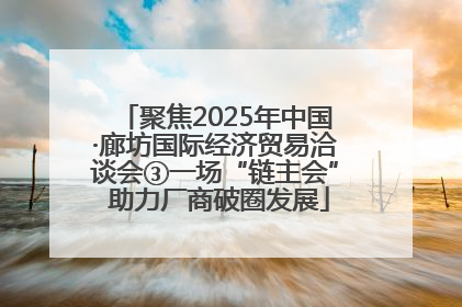 聚焦2025年中国·廊坊国际经济贸易洽谈会③一场“链主会” 助力厂商破圈发展