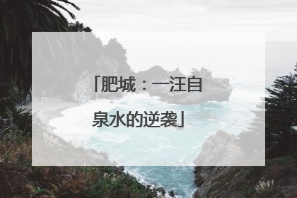 肥城：一汪自泉水的逆袭