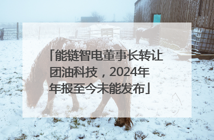 能链智电董事长转让团油科技，2024年年报至今未能发布