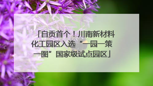 自贡首个！川南新材料化工园区入选“一园一策一图”国家级试点园区