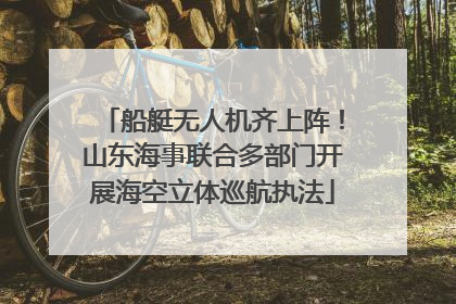 船艇无人机齐上阵！山东海事联合多部门开展海空立体巡航执法