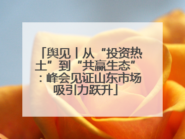舆见丨从“投资热土”到“共赢生态”：峰会见证山东市场吸引力跃升