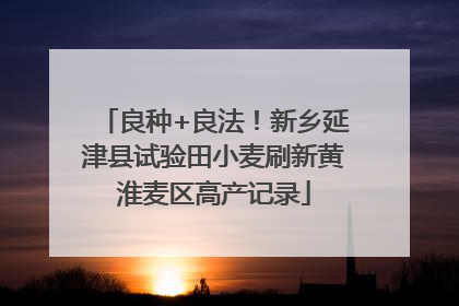 良种+良法！新乡延津县试验田小麦刷新黄淮麦区高产记录