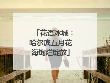 花语冰城：哈尔滨五月花海绚烂绽放