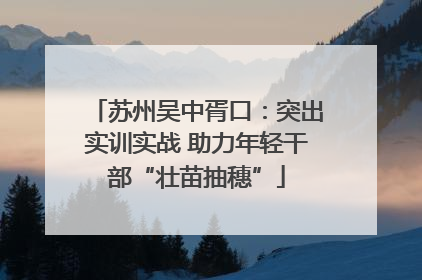 苏州吴中胥口：突出实训实战 助力年轻干部“壮苗抽穗”