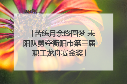 苦练月余终圆梦 耒阳队勇夺衡阳市第三届职工龙舟赛金奖
