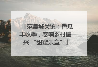范县城关镇：香瓜丰收季，奏响乡村振兴 “甜蜜乐章”
