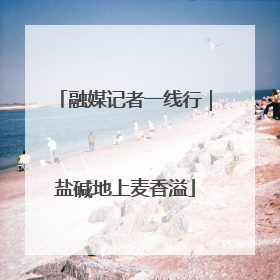 融媒记者一线行｜盐碱地上麦香溢