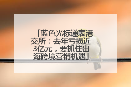 蓝色光标递表港交所：去年亏损近3亿元，要抓住出海跨境营销机遇