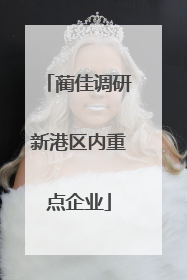 蔺佳调研新港区内重点企业