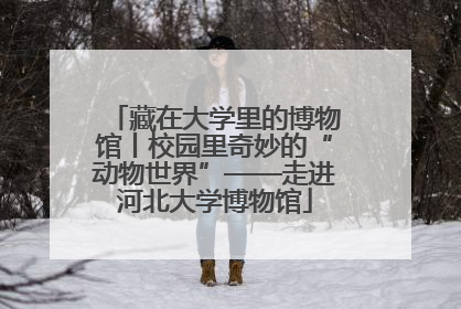 藏在大学里的博物馆丨校园里奇妙的“动物世界”——走进河北大学博物馆