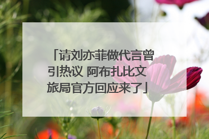 请刘亦菲做代言曾引热议 阿布扎比文旅局官方回应来了