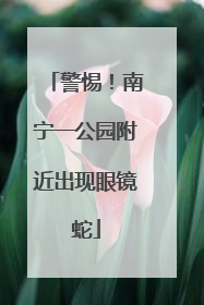 警惕！南宁一公园附近出现眼镜蛇