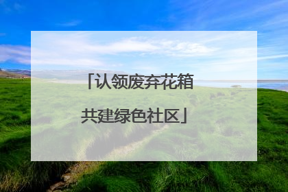 认领废弃花箱 共建绿色社区
