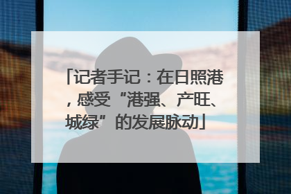 记者手记：在日照港，感受“港强、产旺、城绿”的发展脉动