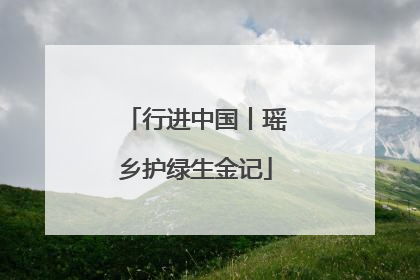 行进中国丨瑶乡护绿生金记