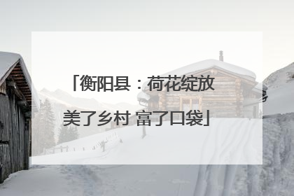 衡阳县：荷花绽放 美了乡村 富了口袋