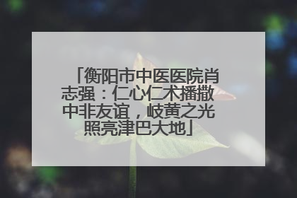 衡阳市中医医院肖志强：仁心仁术播撒中非友谊，岐黄之光照亮津巴大地