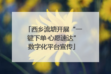 西乡流塘开展“一键下单·心愿速达”数字化平台宣传
