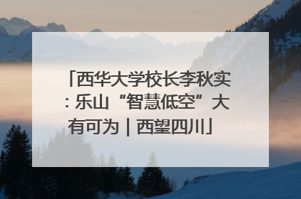 西华大学校长李秋实：乐山“智慧低空”大有可为｜西望四川