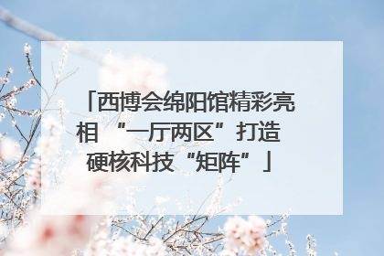 西博会绵阳馆精彩亮相 “一厅两区”打造硬核科技“矩阵”