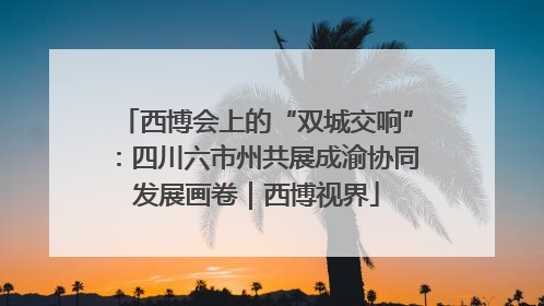 西博会上的“双城交响”：四川六市州共展成渝协同发展画卷｜西博视界
