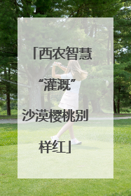 西农智慧“灌溉” 沙漠樱桃别样红