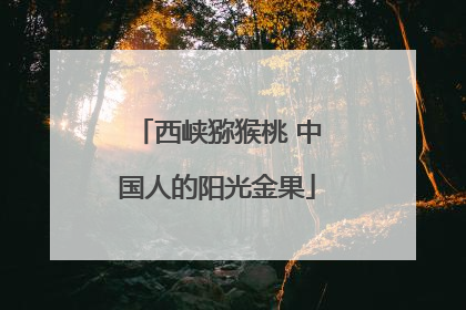 西峡猕猴桃 中国人的阳光金果
