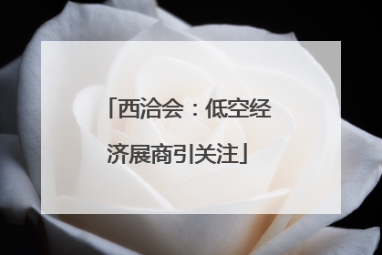 西洽会：低空经济展商引关注
