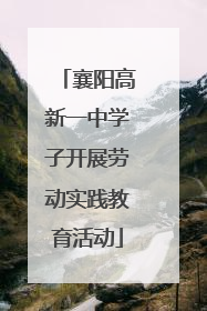 襄阳高新一中学子开展劳动实践教育活动