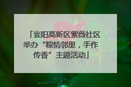 襄阳高新区紫薇社区举办“粽情邻里，手作传香”主题活动