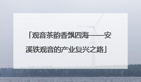 观音茶韵香飘四海——安溪铁观音的产业复兴之路