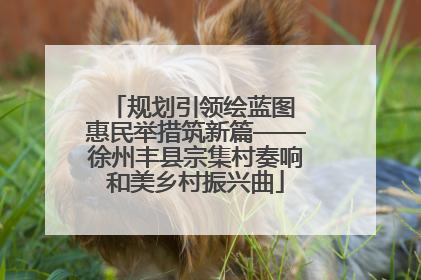 规划引领绘蓝图 惠民举措筑新篇——徐州丰县宗集村奏响和美乡村振兴曲