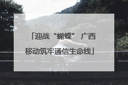 迎战“蝴蝶” 广西移动筑牢通信生命线