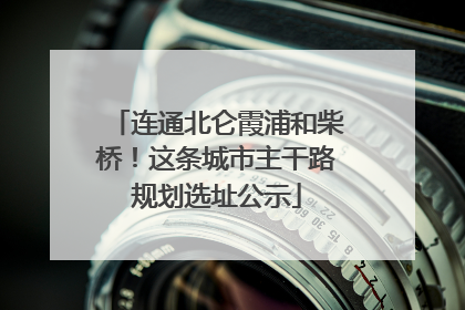 连通北仑霞浦和柴桥！这条城市主干路规划选址公示