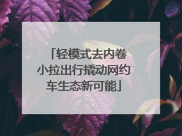 轻模式去内卷 小拉出行撬动网约车生态新可能