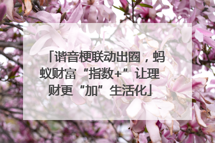 谐音梗联动出圈，蚂蚁财富“指数+”让理财更“加”生活化