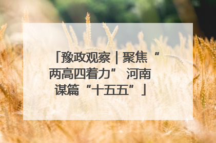 豫政观察｜聚焦“两高四着力” 河南谋篇“十五五”