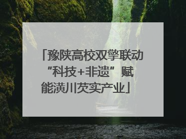 豫陕高校双擎联动 “科技+非遗”赋能潢川芡实产业