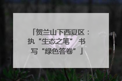 贺兰山下西夏区：执“生态之笔” 书写“绿色答卷”