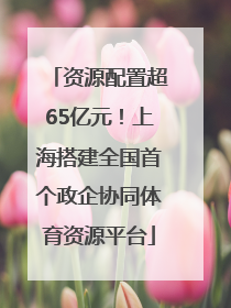 资源配置超65亿元！上海搭建全国首个政企协同体育资源平台