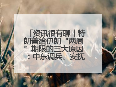 资讯很有聊丨特朗普给伊朗“两周”期限的三大原因：中东调兵、安抚国内、个人习惯